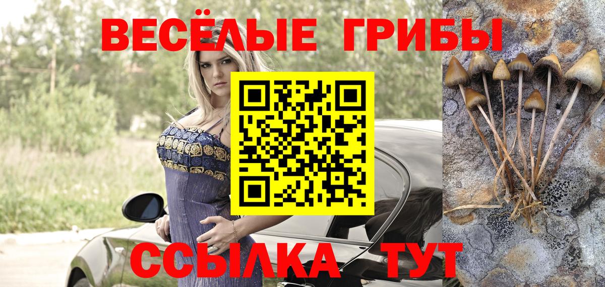 Псилоцибиновые грибы Cubensis Гагарин